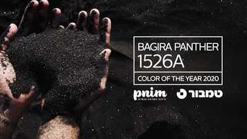 Free download Color of the year 2020 | PNIM Magazin video and edit with RedcoolMedia movie maker MovieStudio video editor online and AudioStudio audio editor onlin