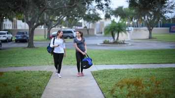 Free download Colorscape Reel video and edit with RedcoolMedia movie maker MovieStudio video editor online and AudioStudio audio editor onlin