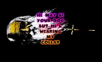 Free download colour is everything video and edit with RedcoolMedia movie maker MovieStudio video editor online and AudioStudio audio editor onlin