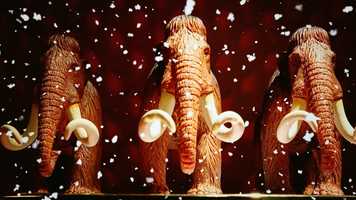 Free download Свадьба Резидента COMEDY CLUB Андрея скорохода video and edit with RedcoolMedia movie maker MovieStudio video editor online and AudioStudio audio editor onlin