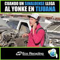 Free download Comedy Example 02 video and edit with RedcoolMedia movie maker MovieStudio video editor online and AudioStudio audio editor onlin