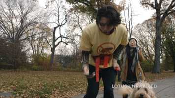 Free download comedy reel_estellelee video and edit with RedcoolMedia movie maker MovieStudio video editor online and AudioStudio audio editor onlin