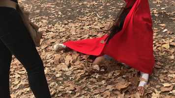 Free download COMEDY TRAILER - Mia Grant, Mia Wilson  Chantel video and edit with RedcoolMedia movie maker MovieStudio video editor online and AudioStudio audio editor onlin