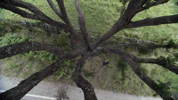 Free download Comic-Con 2019 Trailer for FEAR THE WALKING DEAD Season 5s Second Half video and edit with RedcoolMedia movie maker MovieStudio video editor online and AudioStudio audio editor onlin