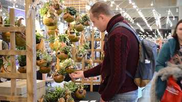 Free download Comic Con Gent 2019 video and edit with RedcoolMedia movie maker MovieStudio video editor online and AudioStudio audio editor onlin