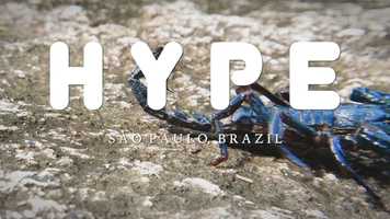 Free download COMIC CON TRAILER ...trailer.. video and edit with RedcoolMedia movie maker MovieStudio video editor online and AudioStudio audio editor onlin