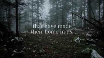 Free download coming soon movie video and edit with RedcoolMedia movie maker MovieStudio video editor online and AudioStudio audio editor onlin