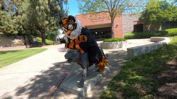 Free download Commencement Powercat Athletics video and edit with RedcoolMedia movie maker MovieStudio video editor online and AudioStudio audio editor onlin