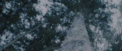 Free download Commercial: Adidas - Messis Dream video and edit with RedcoolMedia movie maker MovieStudio video editor online and AudioStudio audio editor onlin