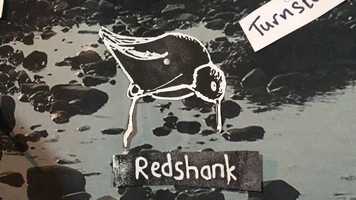 Free download Common Redshank - Song video and edit with RedcoolMedia movie maker MovieStudio video editor online and AudioStudio audio editor onlin