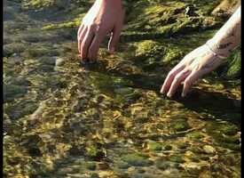 Free download Community Feedback_01 video and edit with RedcoolMedia movie maker MovieStudio video editor online and AudioStudio audio editor onlin