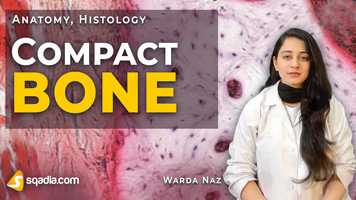 Free download Compact Bone | Electron Microscopy | Histology | Anatomy Video Lectures | V-Learning video and edit with RedcoolMedia movie maker MovieStudio video editor online and AudioStudio audio editor onlin