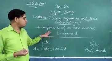 Free download Components of an environment video and edit with RedcoolMedia movie maker MovieStudio video editor online and AudioStudio audio editor onlin