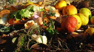 Free download Composting Environmental Solutions video and edit with RedcoolMedia movie maker MovieStudio video editor online and AudioStudio audio editor onlin