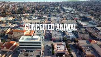 Free download Conceited Animal Presents  Santana F. Louie Loco Conceited Animal video and edit with RedcoolMedia movie maker MovieStudio video editor online and AudioStudio audio editor onlin