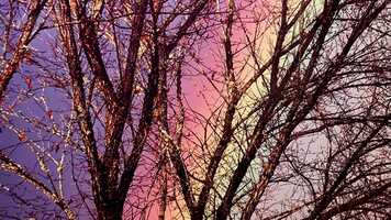 Free download Conciliation, Oregon video and edit with RedcoolMedia movie maker MovieStudio video editor online and AudioStudio audio editor onlin