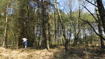 Free download conditio uliginosa Trailer video and edit with RedcoolMedia movie maker MovieStudio video editor online and AudioStudio audio editor onlin