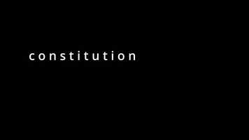 Free download CONSTITUTION Places. Pictures. Sounds. And Music. von Octavia Crummenerl Gloggengiesser, musikfonds Stipendium 2021 video and edit with RedcoolMedia movie maker MovieStudio video editor online and AudioStudio audio editor onlin