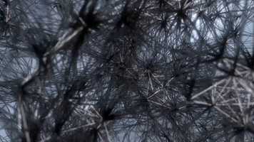 Free download Constraints video and edit with RedcoolMedia movie maker MovieStudio video editor online and AudioStudio audio editor onlin