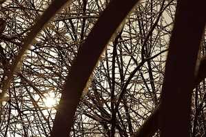 Free download continua video and edit with RedcoolMedia movie maker MovieStudio video editor online and AudioStudio audio editor onlin