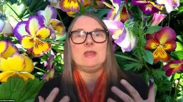 Free download Conversation on Angel and Private Investment Done Alongside Government for Deep Impact video and edit with RedcoolMedia movie maker MovieStudio video editor online and AudioStudio audio editor onlin