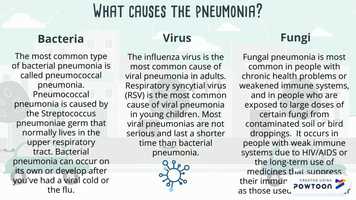 Free download Copy of Bio 3 video and edit with RedcoolMedia movie maker MovieStudio video editor online and AudioStudio audio editor onlin