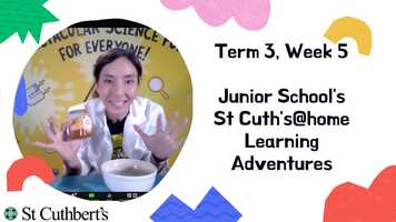 Free download Copy of T3, W5 Junior Schools St Cuths@home Learning Adventures.mp4 video and edit with RedcoolMedia movie maker MovieStudio video editor online and AudioStudio audio editor onlin