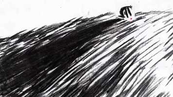 Free download Coquelicots video and edit with RedcoolMedia movie maker MovieStudio video editor online and AudioStudio audio editor onlin