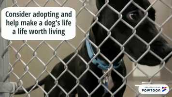 Free download core 105 movie video and edit with RedcoolMedia movie maker MovieStudio video editor online and AudioStudio audio editor onlin