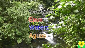 Free download CORIPNP-Trailer-Braulio-Carrillo video and edit with RedcoolMedia movie maker MovieStudio video editor online and AudioStudio audio editor onlin