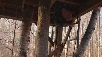 Free download Cormac Abbey - The Art of Real Feel video and edit with RedcoolMedia movie maker MovieStudio video editor online and AudioStudio audio editor onlin