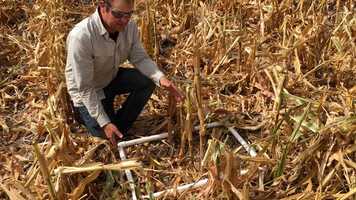 Free download Corn Harvest Losses 2021 video and edit with RedcoolMedia movie maker MovieStudio video editor online and AudioStudio audio editor onlin