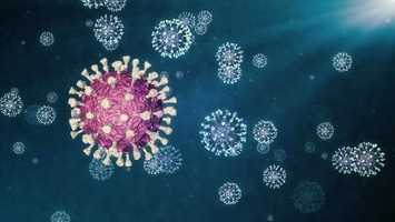 Free download Coronavirus COVID-19 | Motion Graphics - Videohive template video and edit with RedcoolMedia movie maker MovieStudio video editor online and AudioStudio audio editor onlin