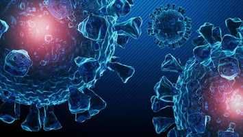 Free download Coronavirus Loop Background 02 4k | Motion Graphics - Videohive template video and edit with RedcoolMedia movie maker MovieStudio video editor online and AudioStudio audio editor onlin