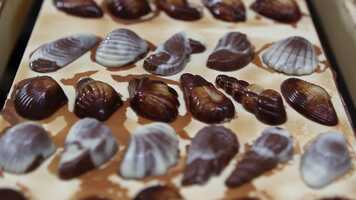 Free download CORPO_AVAAPIII_2020_21_Anouck_Blond video and edit with RedcoolMedia movie maker MovieStudio video editor online and AudioStudio audio editor onlin