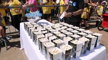 Free download CORRIDA CARTOON 2018 video and edit with RedcoolMedia movie maker MovieStudio video editor online and AudioStudio audio editor onlin