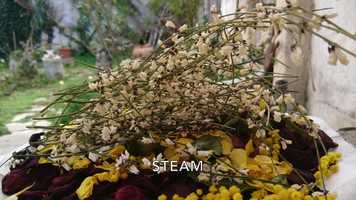 Free download Corso-laboratorio in modalit e-learning e Residenza dartista di Mina DElia video and edit with RedcoolMedia movie maker MovieStudio video editor online and AudioStudio audio editor onlin