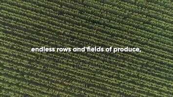 Free download Corteva Natures Alliance With Science 1min35_v6.mp4 video and edit with RedcoolMedia movie maker MovieStudio video editor online and AudioStudio audio editor onlin