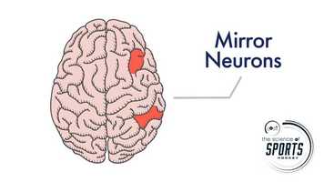 Free download COSI Hockey Science - Brain video and edit with RedcoolMedia movie maker MovieStudio video editor online and AudioStudio audio editor onlin