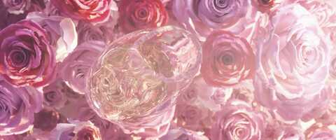 Free download COTE DES ROSES / HYPE AGENCY video and edit with RedcoolMedia movie maker MovieStudio video editor online and AudioStudio audio editor onlin
