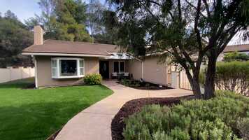 Free download cotorro trailer.mp4 video and edit with RedcoolMedia movie maker MovieStudio video editor online and AudioStudio audio editor onlin