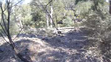 Free download Cotter River Packraft Trip video and edit with RedcoolMedia movie maker MovieStudio video editor online and AudioStudio audio editor onlin