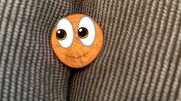 Free download COUCH CRACK video and edit with RedcoolMedia movie maker MovieStudio video editor online and AudioStudio audio editor onlin