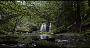 Free download Country To The Bone by Joe Berry And The Berry Pickers video and edit with RedcoolMedia movie maker MovieStudio video editor online and AudioStudio audio editor onlin