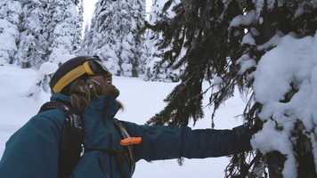 Free download Couples Therapy video and edit with RedcoolMedia movie maker MovieStudio video editor online and AudioStudio audio editor onlin