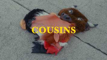 Free download Cousins Wandering (Official Music Video) video and edit with RedcoolMedia movie maker MovieStudio video editor online and AudioStudio audio editor onlin