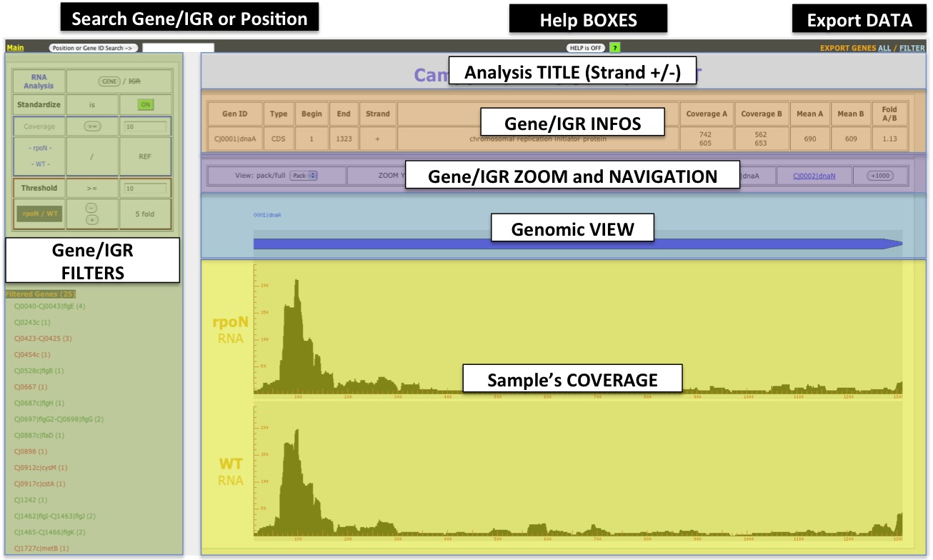 Download web tool or web app COV2HTML Download web tool or web app COV2HTML