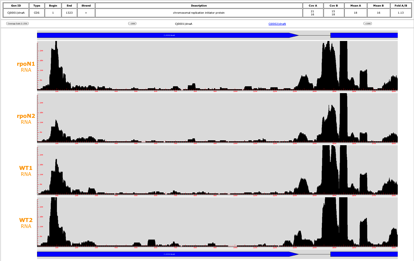 Download web tool or web app COV2HTML Download web tool or web app COV2HTML