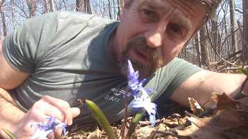 Free download Covenant Harbor at Home Outdoor Education 042220 video and edit with RedcoolMedia movie maker MovieStudio video editor online and AudioStudio audio editor onlin