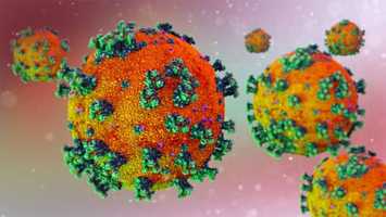 Free download Covid-19 Coronavirus Background | Motion Graphics - Videohive template video and edit with RedcoolMedia movie maker MovieStudio video editor online and AudioStudio audio editor onlin